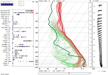 Skew-T Diagram